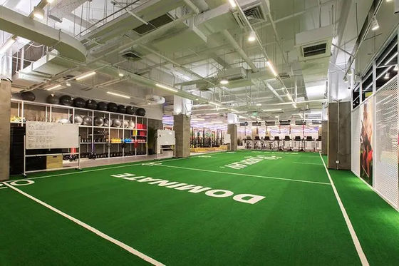 Sichtbarer Platz Latinoamerika Sport Kunstrasen für regelmäßige Wartung