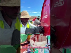 WA-zertifiziert Hochflexibilität Tartan-Laufstrecke für Projekte