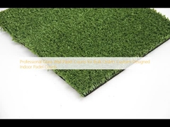 Professionelle Glaswand-Padelplätze für Massenbestellungen