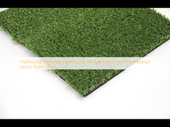 Professionelle Glaswand-Padelplätze für Massenbestellungen