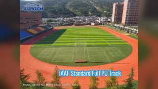 Professionelle IAAF Voll-PU-Laufbahn 13 mm Standard